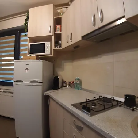 Casa Sara Apartment Bucharest