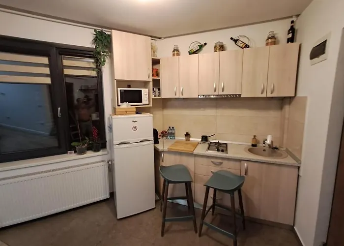 Apartament Casa Sara *